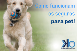 Como funcionam os seguros para pet_K&B_SEGUROS